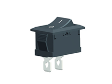RS601-1010011BB